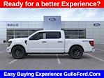 2025 Ford F-150 SuperCrew Cab 4x4 Pickup for sale #S101287 - photo 4