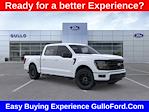 2025 Ford F-150 SuperCrew Cab RWD Pickup for sale #S101381 - photo 13