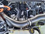 2024 Ford F-150 SuperCrew Cab 4WD Pickup for sale #F0799 - photo 32