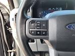 2024 Ford F-150 SuperCrew Cab 4WD Pickup for sale #F0959 - photo 27