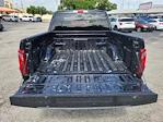 2024 Ford F-150 SuperCrew Cab 4WD Pickup for sale #F0959 - photo 31