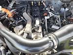2024 Ford F-150 SuperCrew Cab 4WD Pickup for sale #F0959 - photo 32