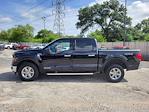 2024 Ford F-150 SuperCrew Cab 4WD Pickup for sale #F0959 - photo 6