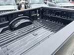 2024 Ford F-350 Crew Cab SRW 4WD Pickup for sale #F0995X - photo 13