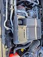 2024 GMC Sierra 1500 Crew Cab 4WD Pickup for sale #F0996X - photo 31