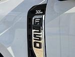 2024 Ford F-350 Regular Cab DRW 4WD Cab Chassis for sale #F43238 - photo 10