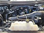 2023 Ford F-150 SuperCrew Cab RWD Pickup for sale #F51284A - photo 31