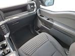 2023 Ford F-150 SuperCrew Cab RWD Pickup for sale #F51332A - photo 17