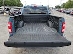 2023 Ford F-150 SuperCrew Cab RWD Pickup for sale #F51332A - photo 31