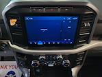 2022 Ford F-150 SuperCrew Cab RWD Pickup for sale #F51428AA - photo 19