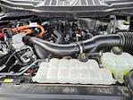 2025 Ford F-150 SuperCrew Cab 4WD Pickup for sale #F51976A - photo 31