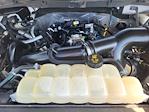 2021 Ford F-150 SuperCrew Cab RWD Pickup for sale #F52044A - photo 31
