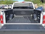 2023 Ford F-150 SuperCrew Cab 4WD Pickup for sale #F52071A - photo 30
