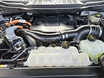 2023 Ford F-150 SuperCrew Cab 4WD Pickup for sale #F52071A - photo 31