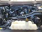 2023 Ford F-150 SuperCrew Cab RWD Pickup for sale #F52142A - photo 31