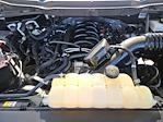 2023 Ford F-150 SuperCrew Cab RWD Pickup for sale #F52857A - photo 31