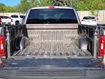 2023 Ford F-150 SuperCrew Cab 4WD Pickup for sale #F52960A - photo 30
