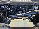 2023 Ford F-150 SuperCrew Cab RWD Pickup for sale #F53105A - photo 30