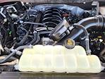 2024 Ford F-150 SuperCrew Cab 4WD Pickup for sale #F53501A - photo 30
