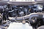 2024 Ford F-150 SuperCrew Cab RWD Pickup for sale #241779 - photo 15