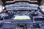 2025 Ford F-150 SuperCrew Cab RWD Pickup for sale #250234 - photo 11