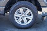2025 Ford F-150 Regular Cab RWD Pickup for sale #250243 - photo 10