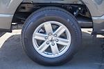 2025 Ford F-150 Regular Cab RWD Pickup for sale #250243 - photo 11