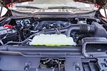 2025 Ford F-150 SuperCrew Cab 4WD Pickup for sale #250411 - photo 13