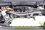 New 2025 Ford F-150 Platinum SuperCrew Cab 4WD Pickup for sale #250525 - photo 13