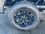 2025 Ford F-150 SuperCrew Cab 4WD Pickup for sale #250544 - photo 10