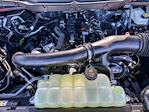2025 Ford F-150 SuperCrew Cab 4WD Pickup for sale #250544 - photo 13