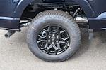 2025 Ford F-150 SuperCrew Cab 4WD Pickup for sale #250866 - photo 10