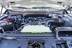 2025 Ford F-150 SuperCrew Cab RWD Pickup for sale #251020 - photo 13