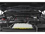 2025 Ford F-150 SuperCrew Cab 4WD Pickup for sale #251092 - photo 11