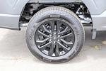 2025 Ford F-150 SuperCrew Cab 4WD Pickup for sale #251231 - photo 10