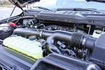 New 2025 Ford F-150 XLT SuperCrew Cab for sale #251694 - photo 14