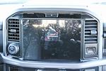 New 2025 Ford F-150 XLT SuperCrew Cab for sale #251694 - photo 17