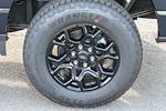 New 2025 Ford F-150 XLT SuperCrew Cab for sale #251740 - photo 11