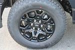 New 2025 Ford F-150 XLT SuperCrew Cab for sale #251740 - photo 12