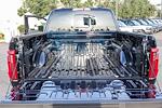 New 2025 Ford F-150 XLT SuperCrew Cab for sale #251740 - photo 13