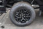 New 2025 Ford F-150 XLT SuperCrew Cab for sale #251854 - photo 21