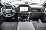 2025 Ford F-150 SuperCrew Cab RWD Pickup for sale #251910 - photo 14