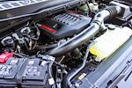 New 2025 Ford F-150 Raptor SuperCrew Cab for sale #252025 - photo 14