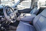 New 2025 Ford F-150 XL Regular Cab for sale #252032 - photo 20