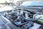 New 2026 Ford F-250 XLT Crew Cab for sale #260059 - photo 14