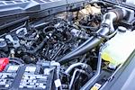 2026 Ford F-150 SuperCrew Cab RWD Pickup for sale #260133 - photo 26