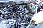 New 2026 Ford F-150 XLT SuperCrew Cab for sale #260136 - photo 26