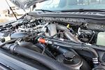 2026 Ford F-350 Crew Cab SRW 4WD Pickup for sale #260177 - photo 21