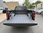 2025 Ram 1500 Crew Cab 4x4 Pickup for sale #D11207 - photo 22