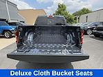 2025 Ram 1500 Crew Cab 4x4 Pickup for sale #D11213 - photo 26